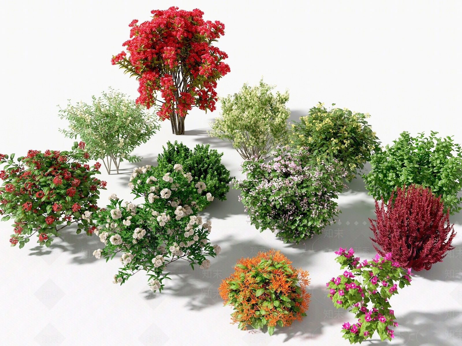 户外牵牛花玫瑰花菊花灌木绿篱SU模型下载【ID:1144245826】