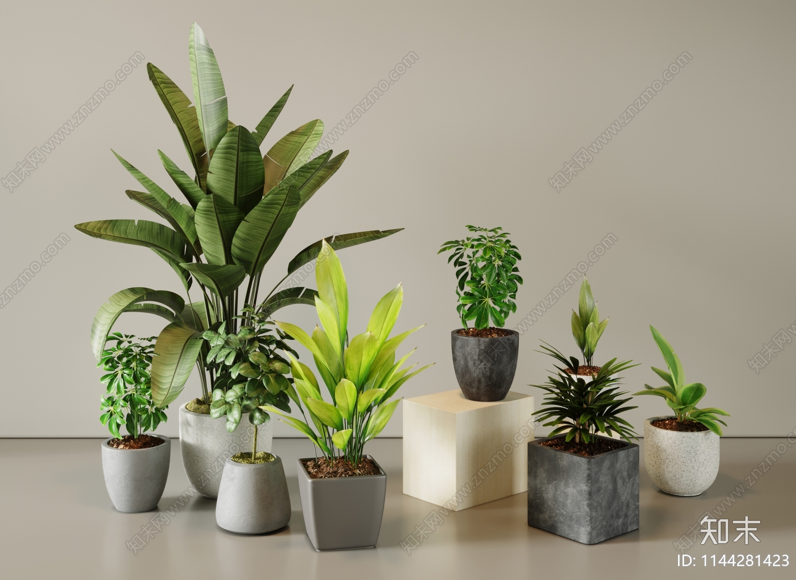 现代盆栽植物3D模型下载【ID:1144281423】