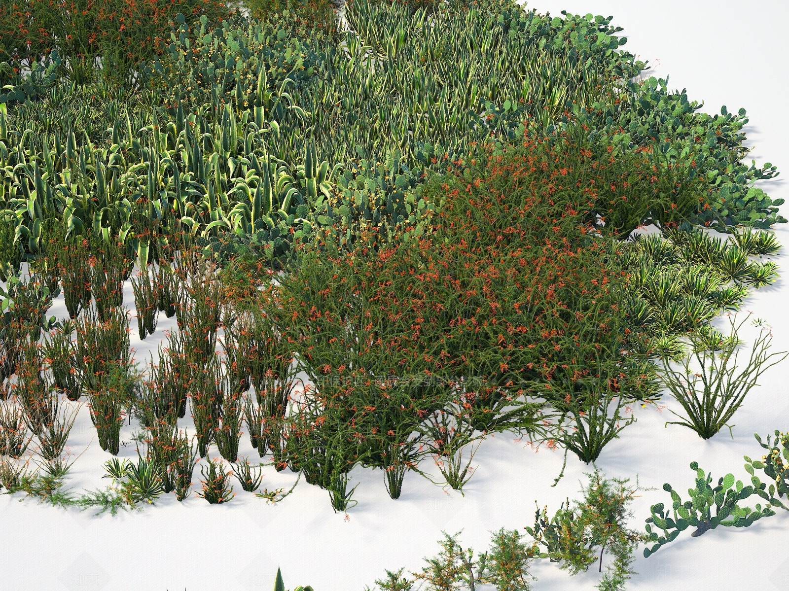 植物3D模型下载【ID:1144304633】