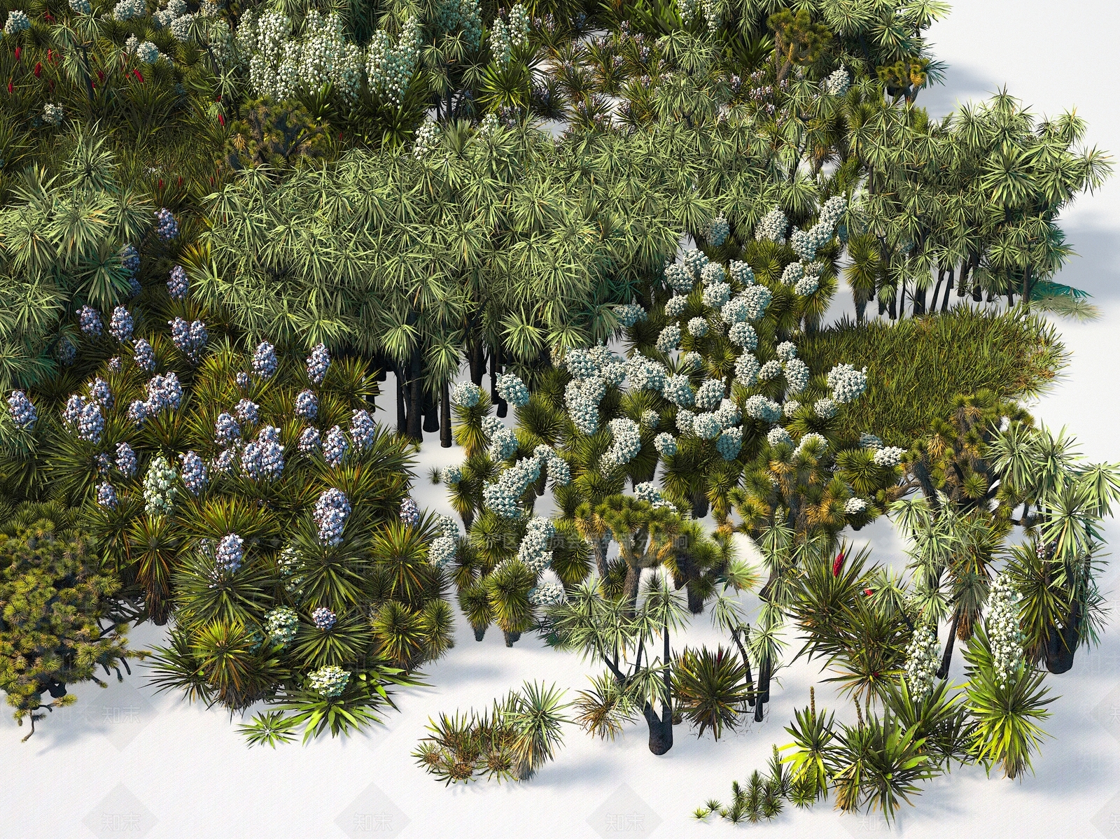 植物3D模型下载【ID:1144304529】