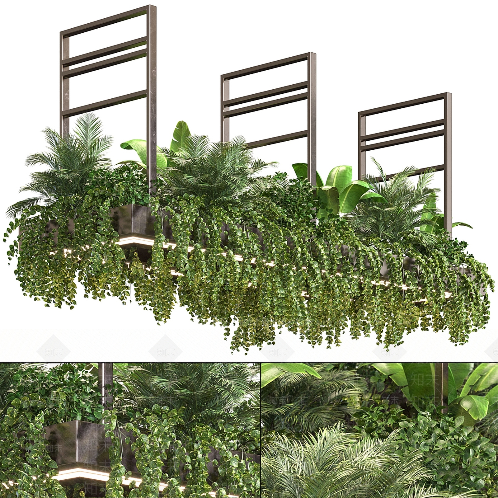 现代悬挂植物吊灯3D模型下载【ID:1144407875】