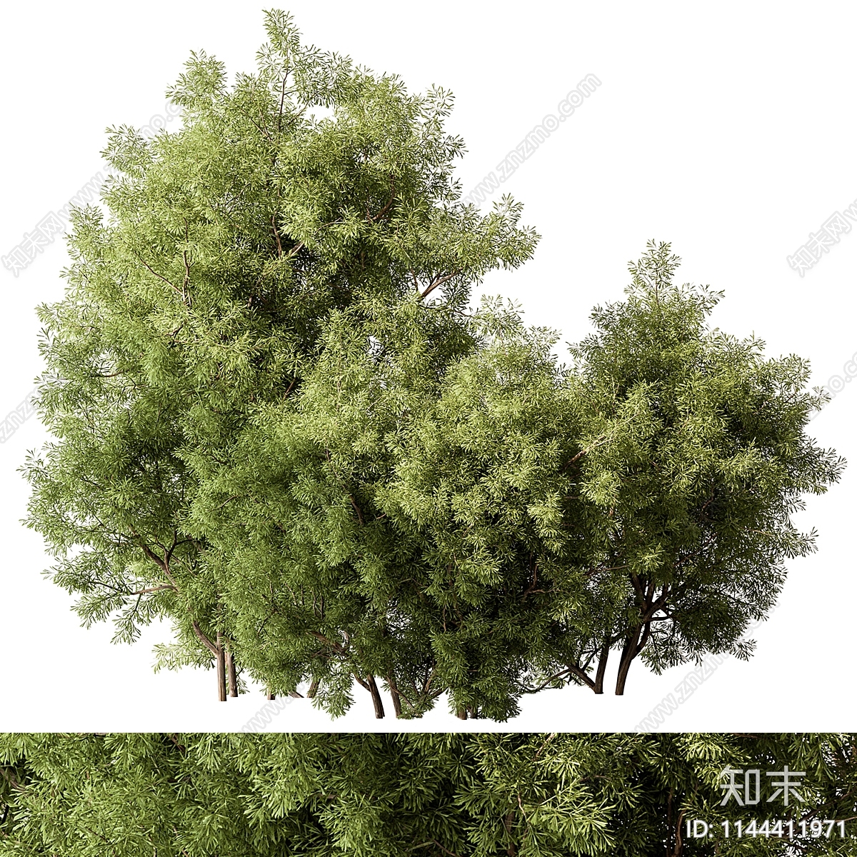 户外植物3D模型下载【ID:1144411971】