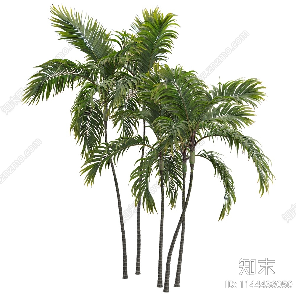 现代植物3D模型下载【ID:1144438050】