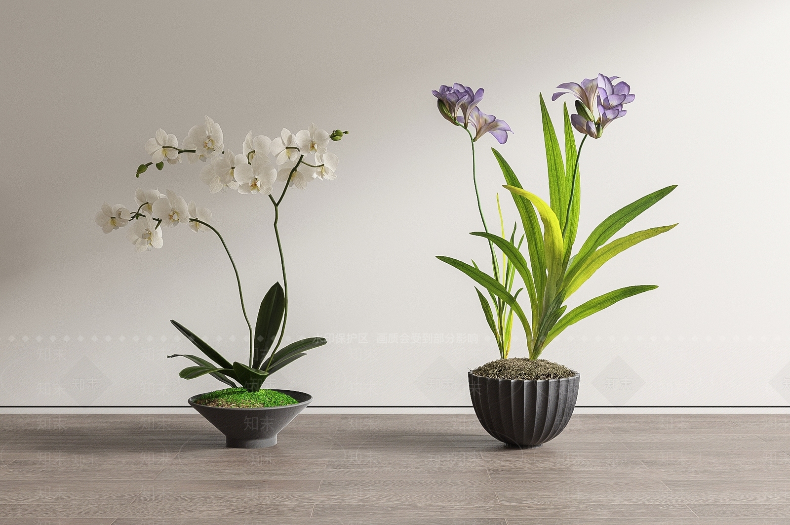 蝴蝶兰盆栽SU模型下载【ID:1144447134】