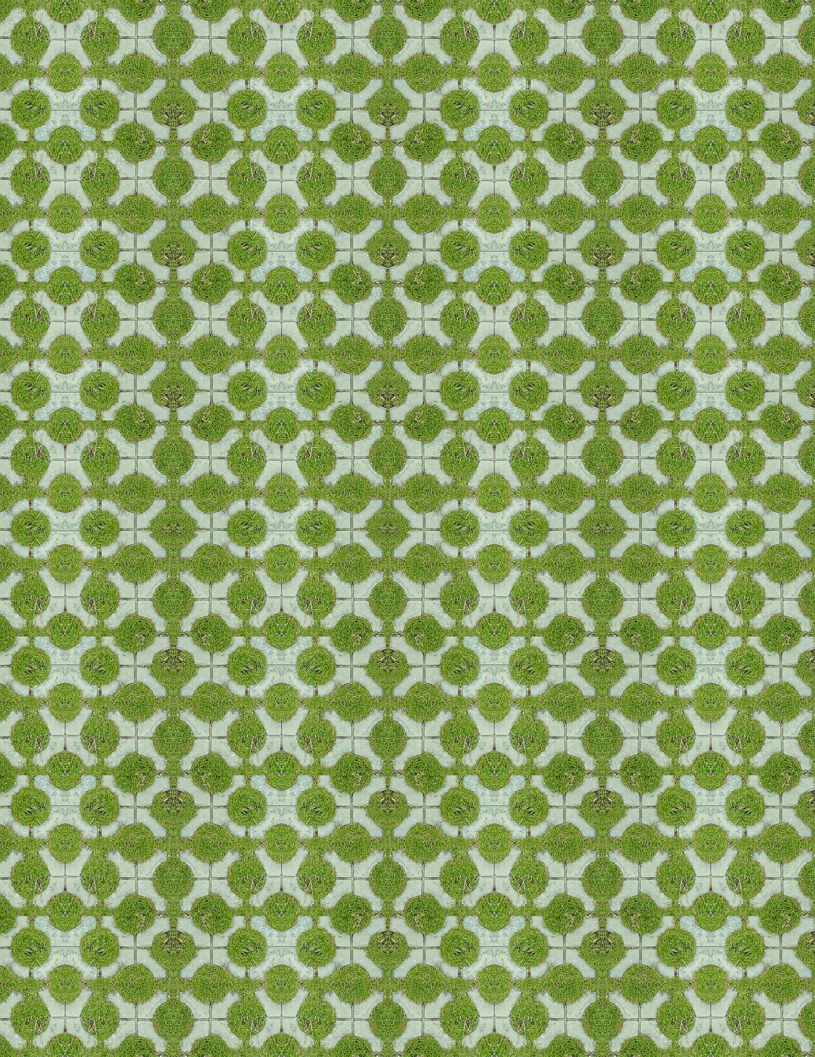 现代植草砖贴图下载【ID:1144472961】