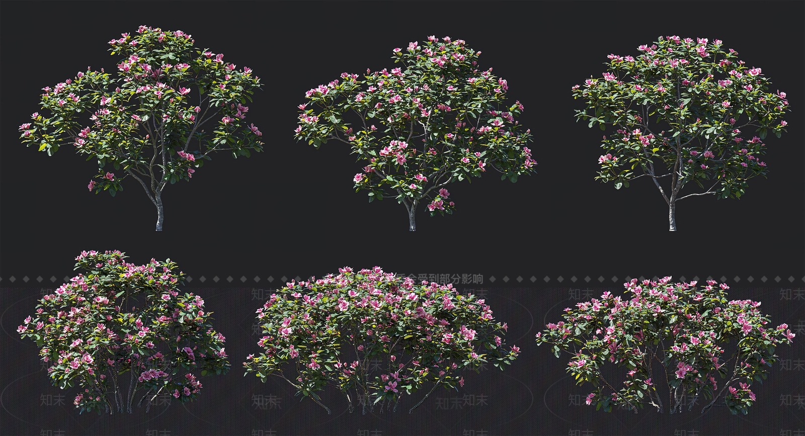 杜鹃花灌木SU模型下载【ID:1144579529】