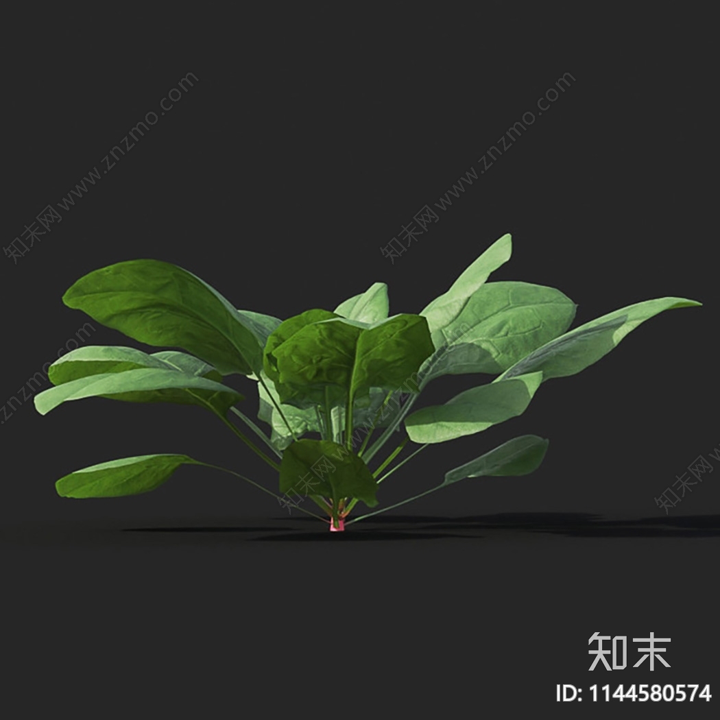 菠菜3D模型下载【ID:1144580574】