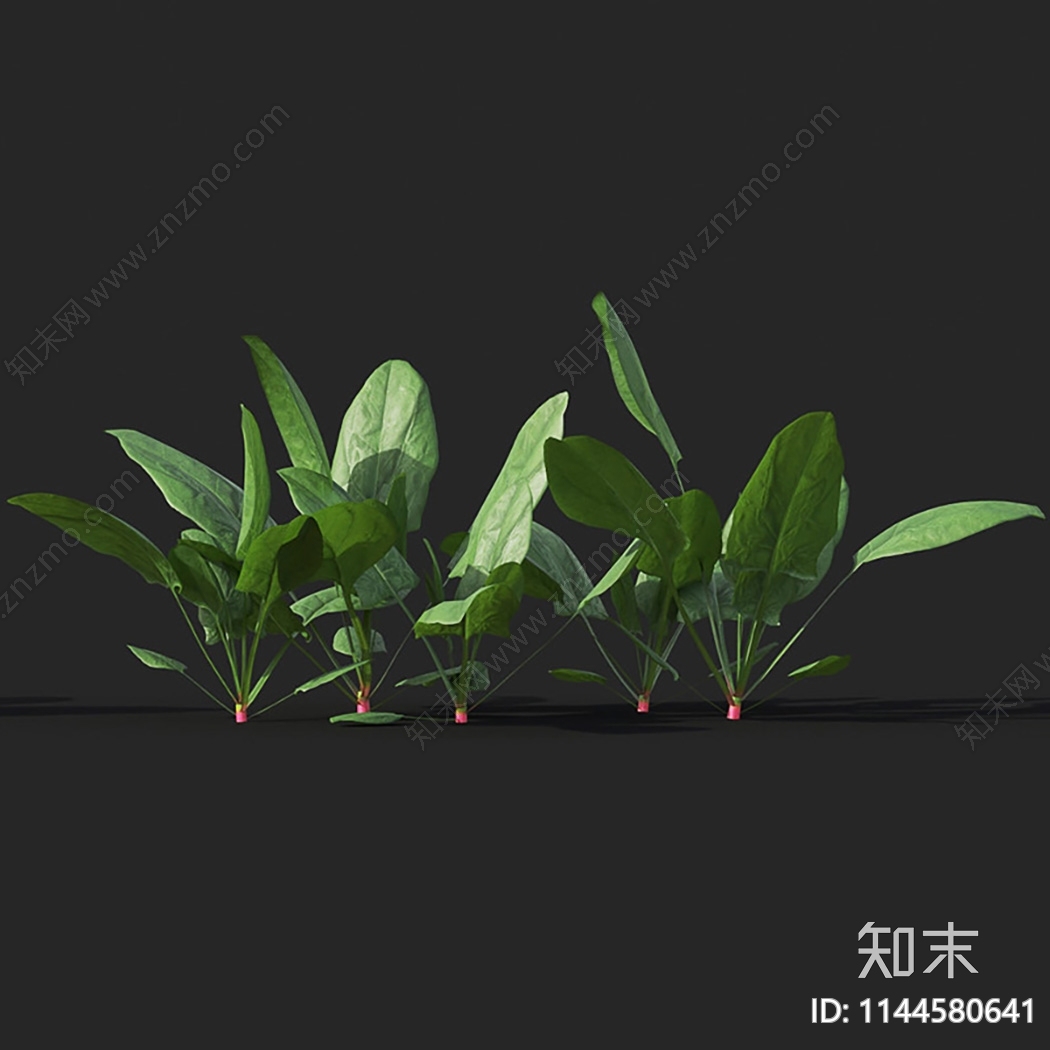 菠菜3D模型下载【ID:1144580641】