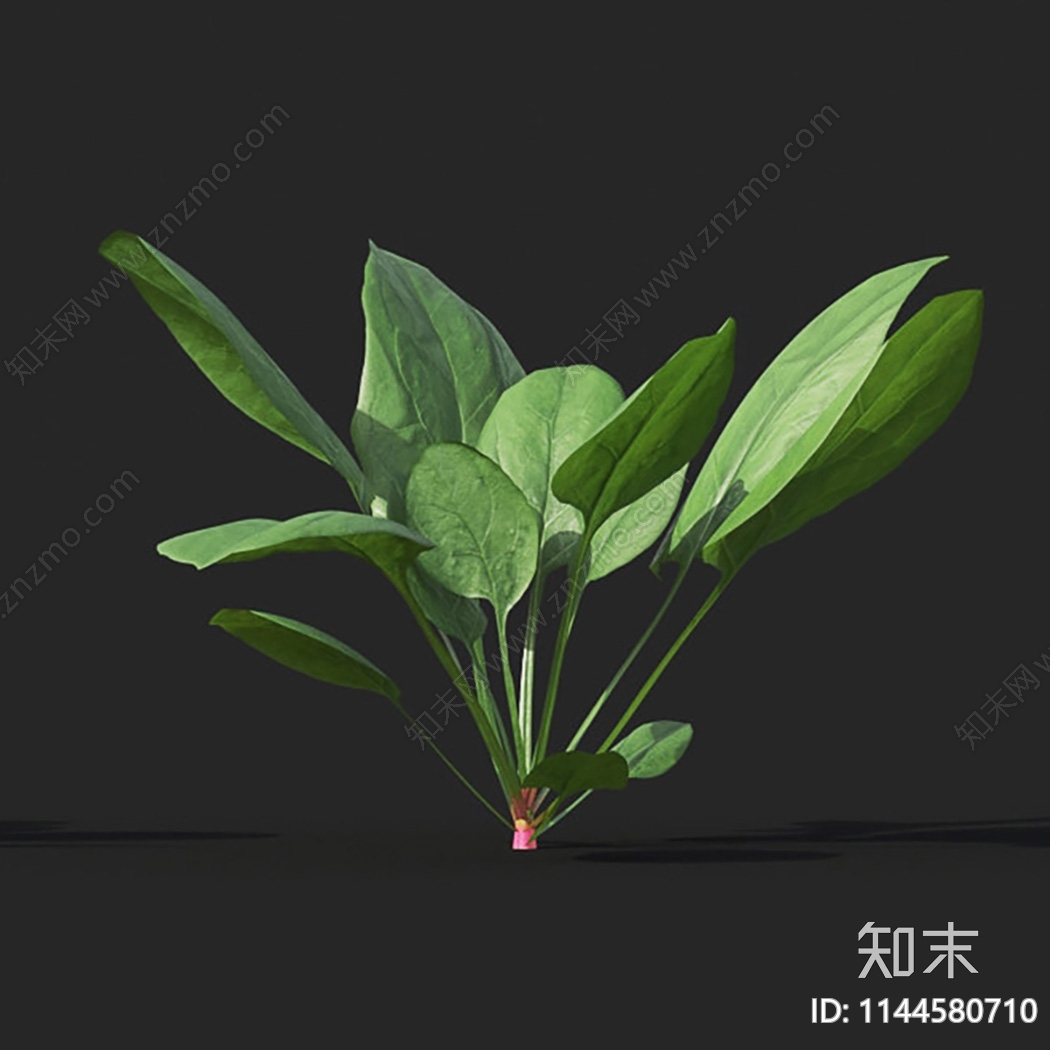 菠菜3D模型下载【ID:1144580710】