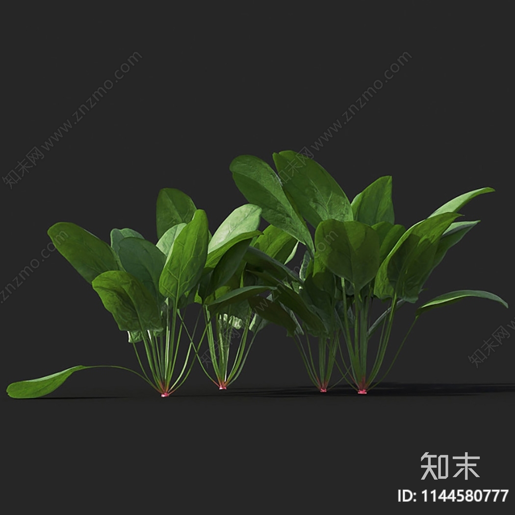 菠菜3D模型下载【ID:1144580777】