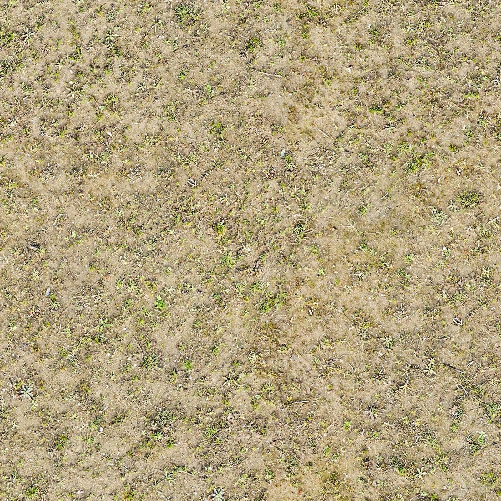 室外真实草地草皮草坪草坡碎石地面青苔野草枯草地面贴图下载【ID:1144584930】