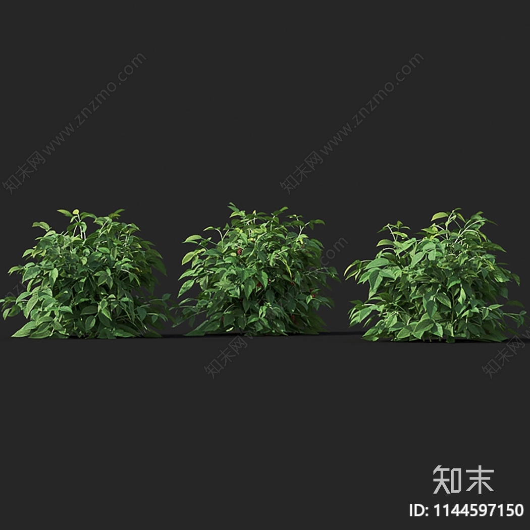 覆盆子3D模型下载【ID:1144597150】