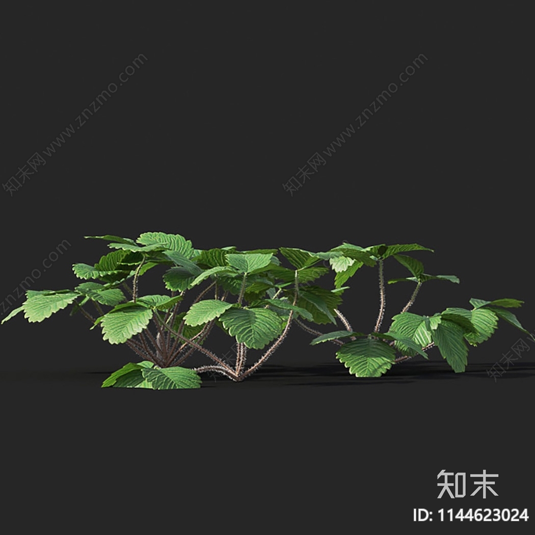 草莓3D模型下载【ID:1144623024】