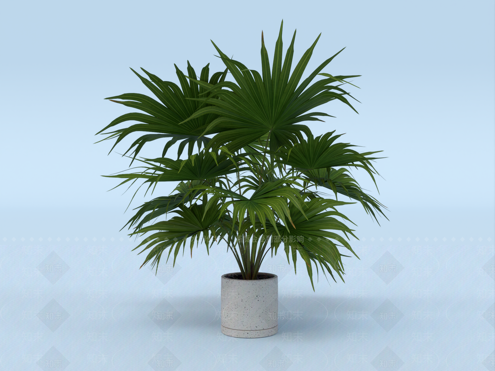 盆栽植物3D模型下载【ID:1144633931】
