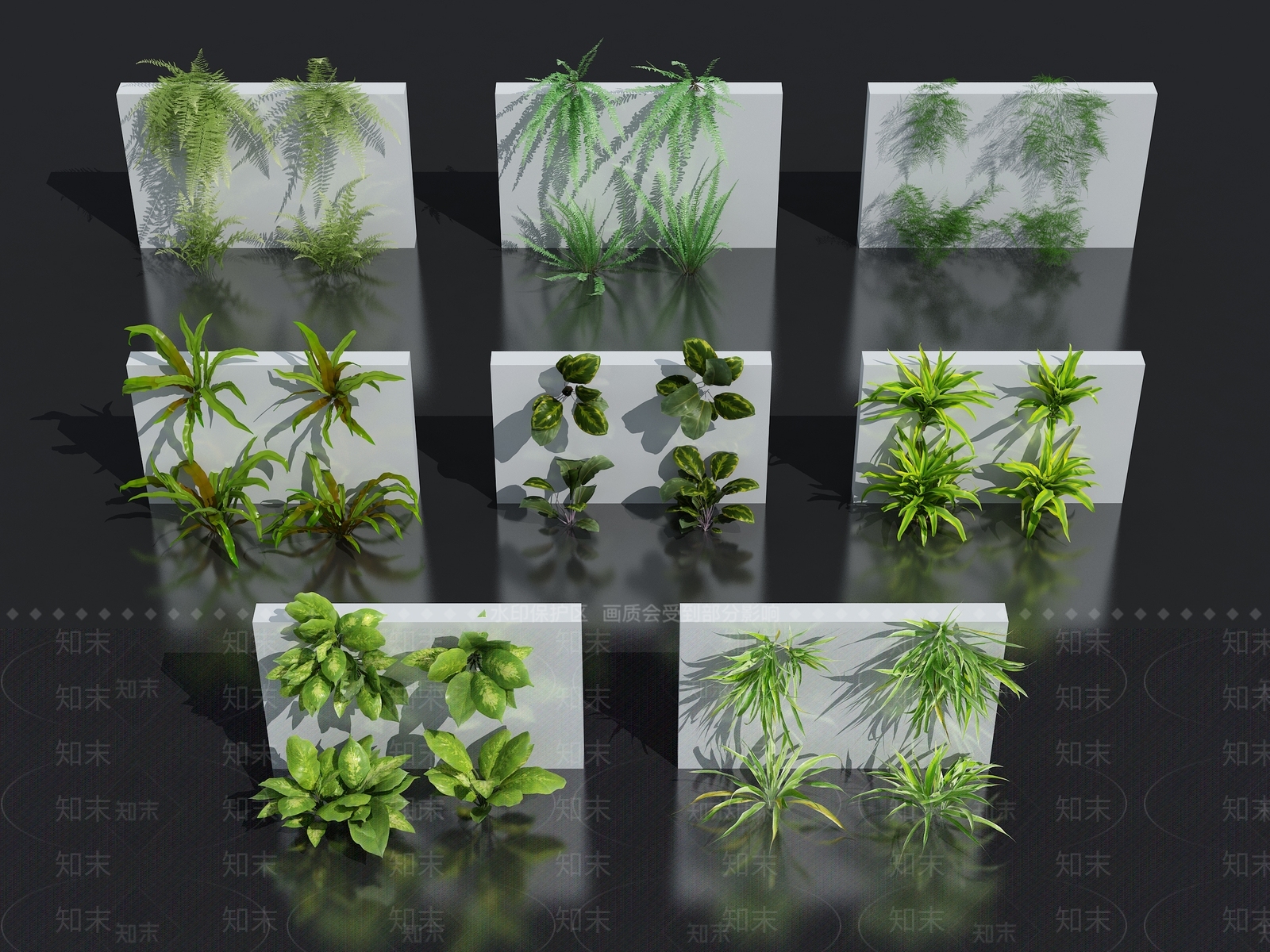 花卉花草组合3D模型下载【ID:1144649297】
