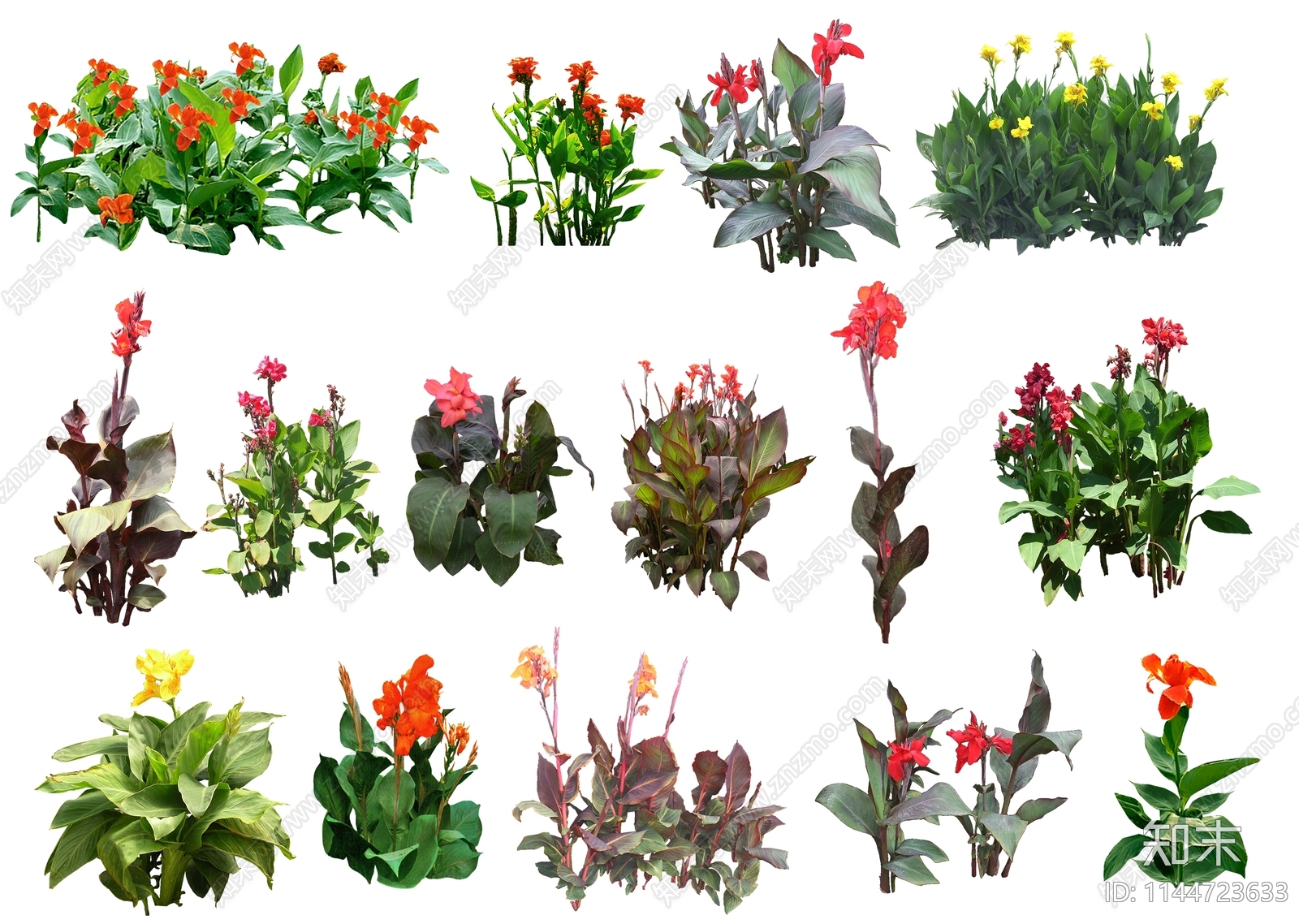 各种美人蕉花卉psd文件免抠贴图下载【ID:1144723633】_【知末网贴图库】