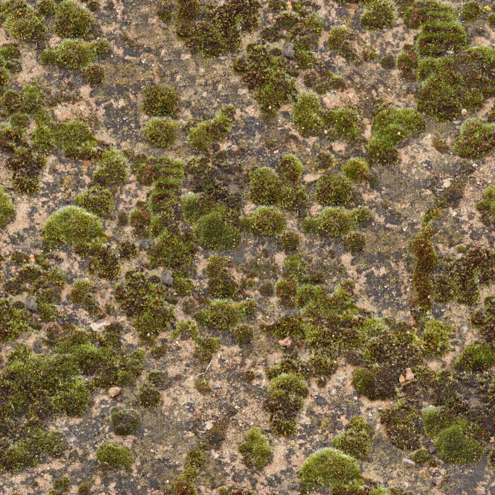 无缝青苔贴图下载【ID:1144753968】