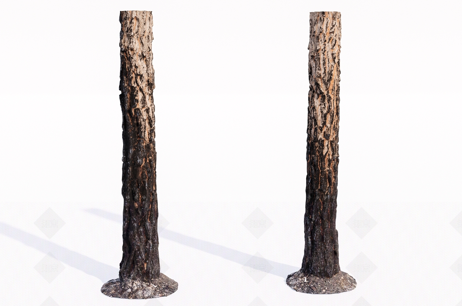 被火烧过的树木3D模型下载【ID:1144780114】