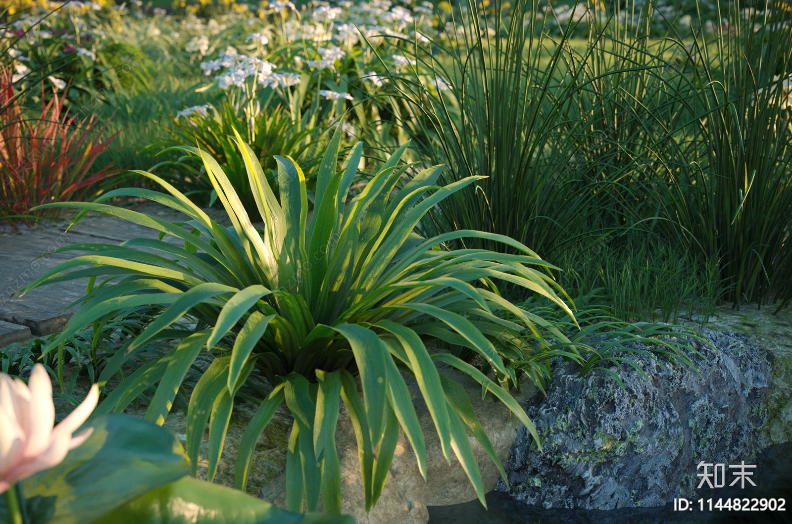 荷花池SU模型下载【ID:1144822902】