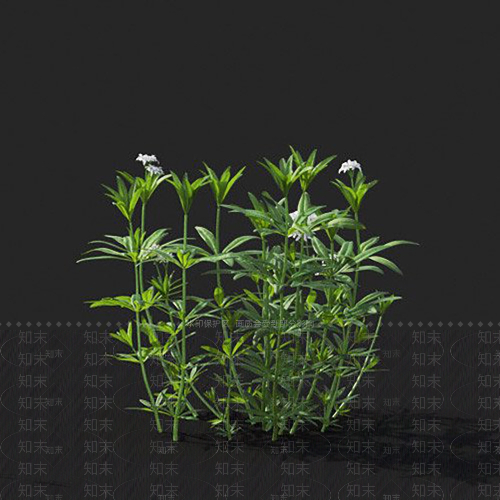 车轴草3D模型下载【ID:1144854990】