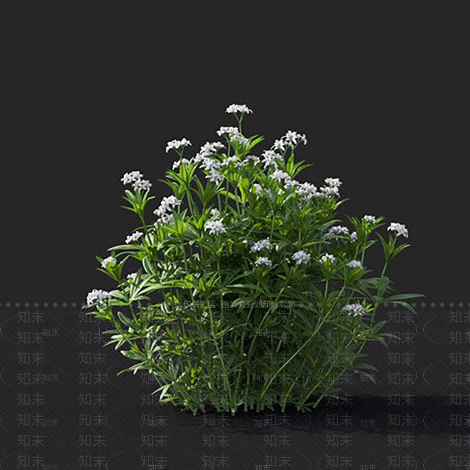 车轴草3D模型下载【ID:1144854928】
