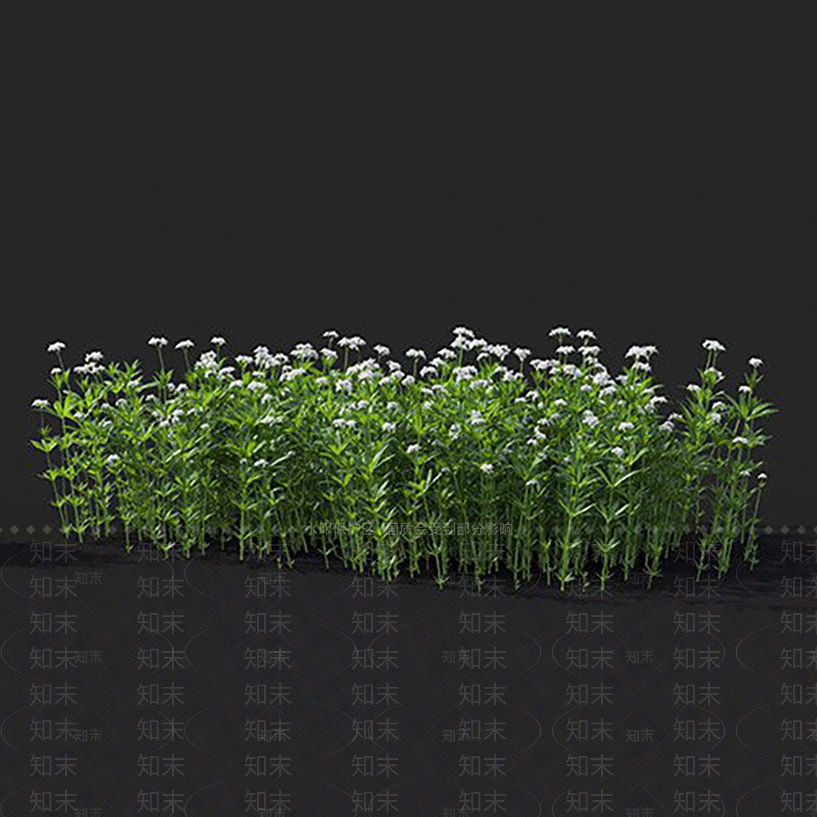 车轴草3D模型下载【ID:1144855012】