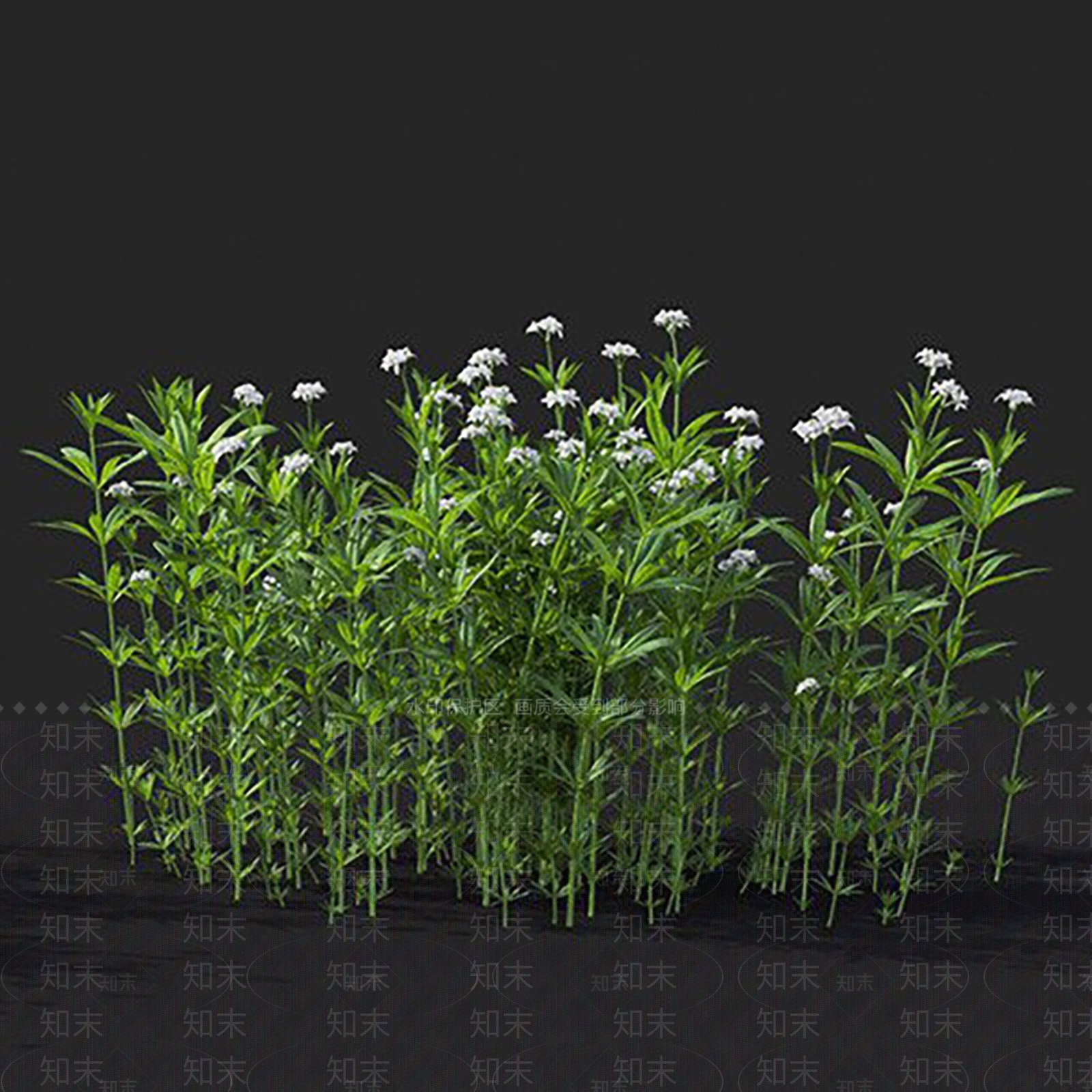 车轴草3D模型下载【ID:1144855017】