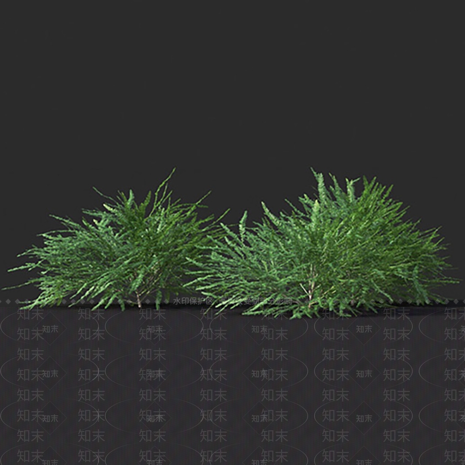 小果叶下珠3D模型下载【ID:1144863004】
