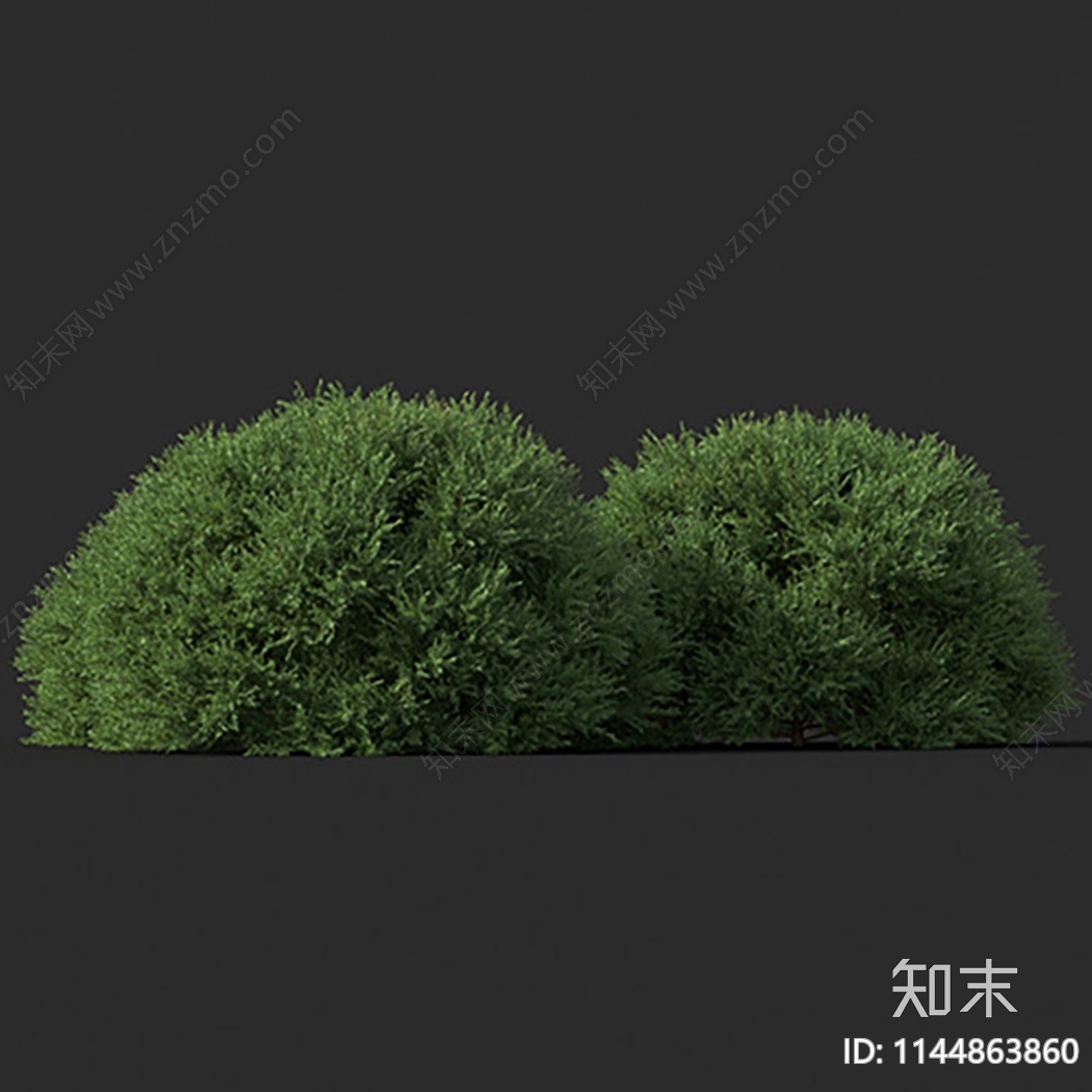 高岗松3D模型下载【ID:1144863860】