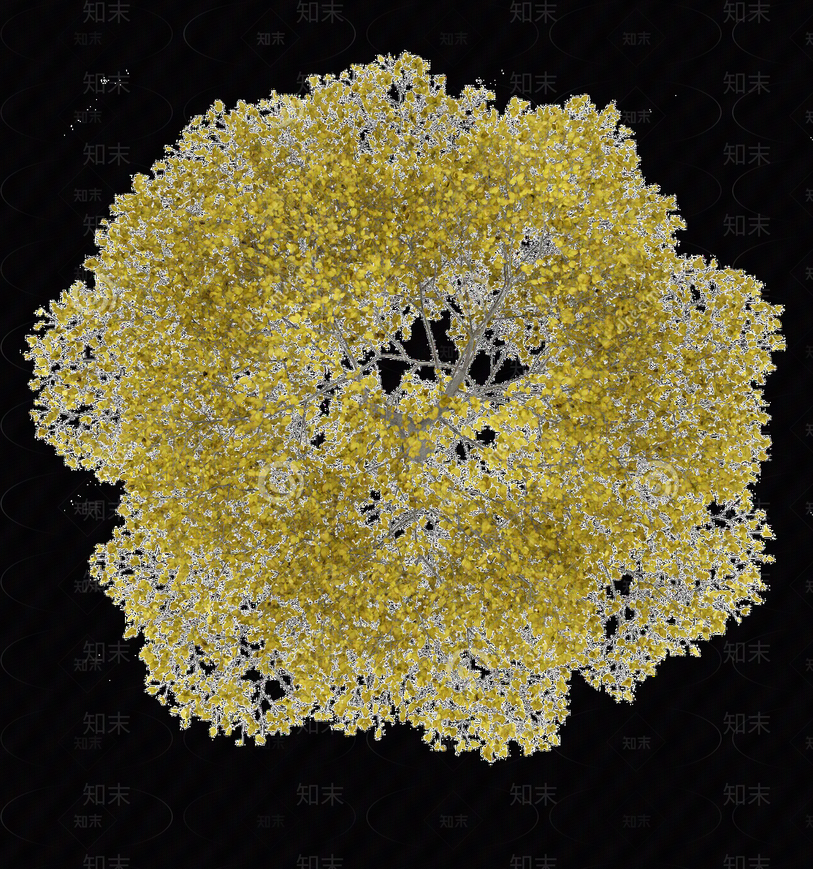免扣植物平面素材贴图下载【ID:1144867080】