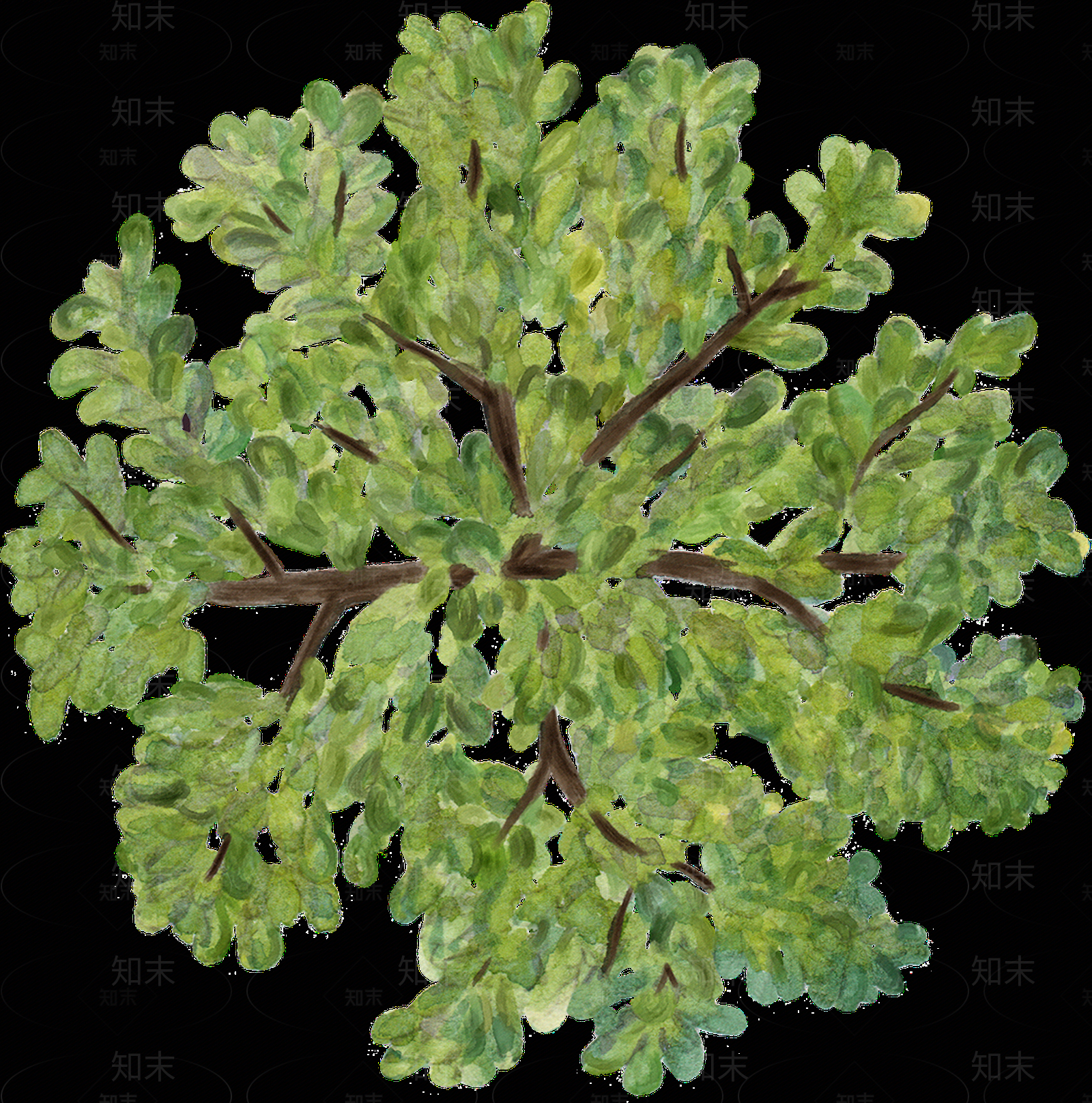 平面树素材贴图下载【ID:1144867418】