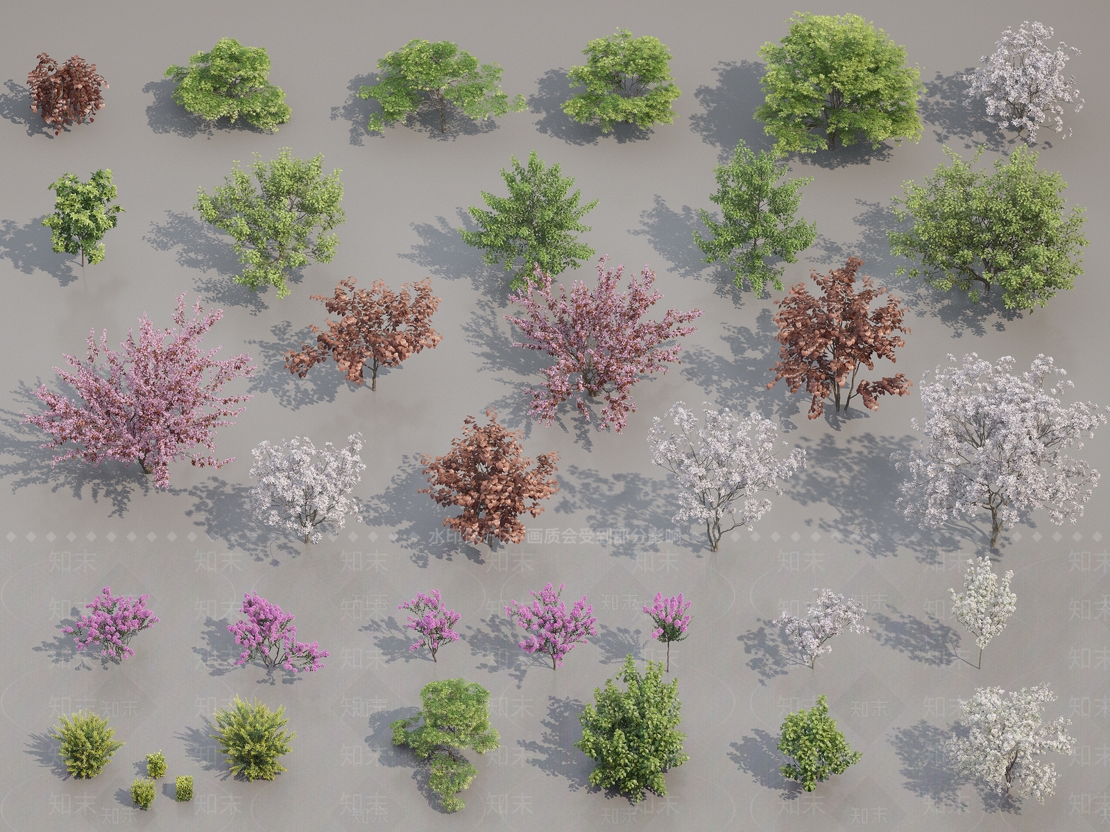 植物3D模型下载【ID:1144892494】