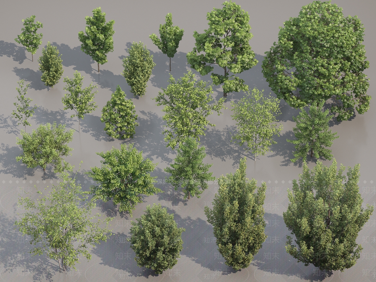 绿色植物合集3D模型下载【ID:1144892606】