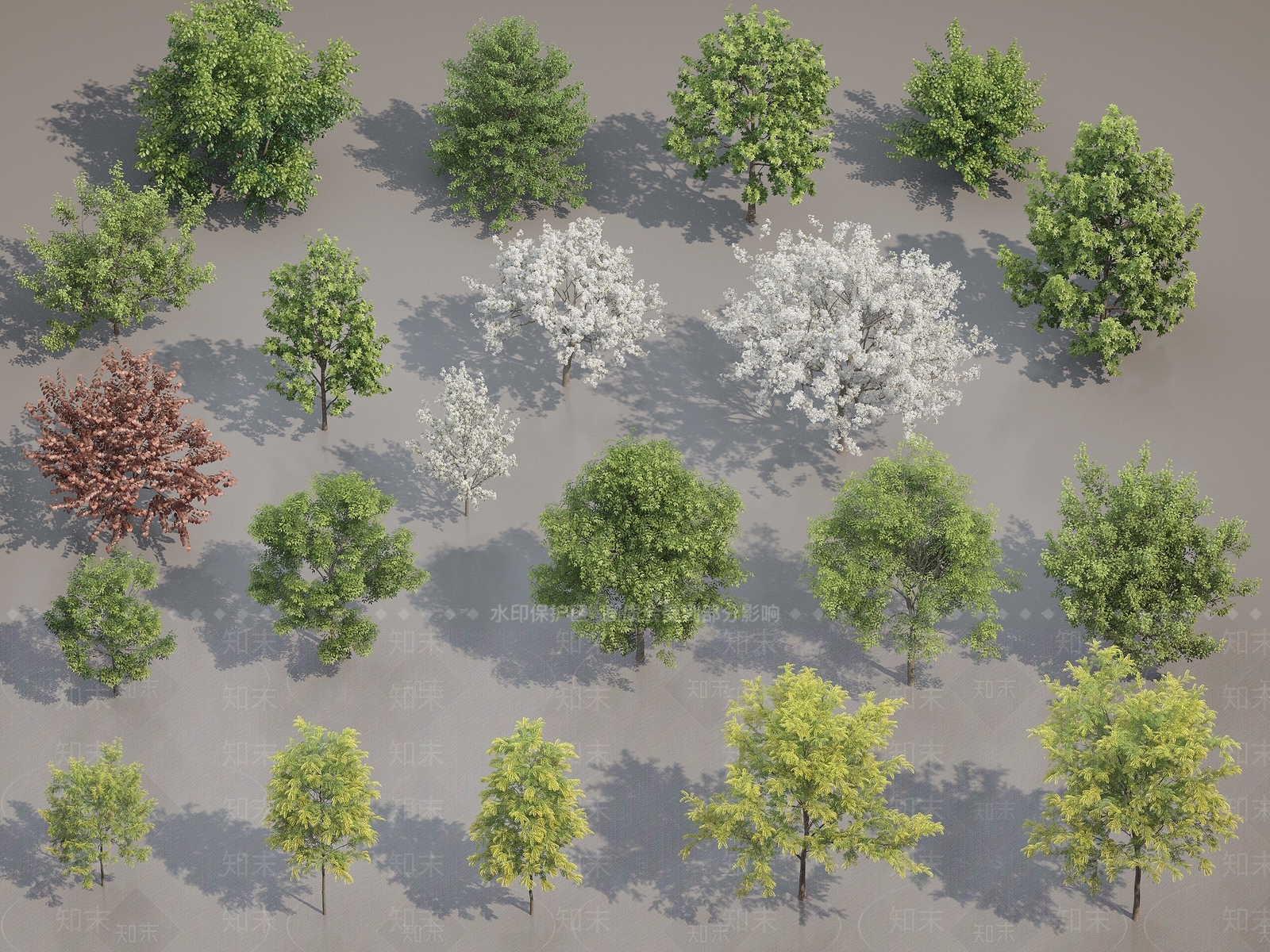 绿色植物合集3D模型下载【ID:1144966251】