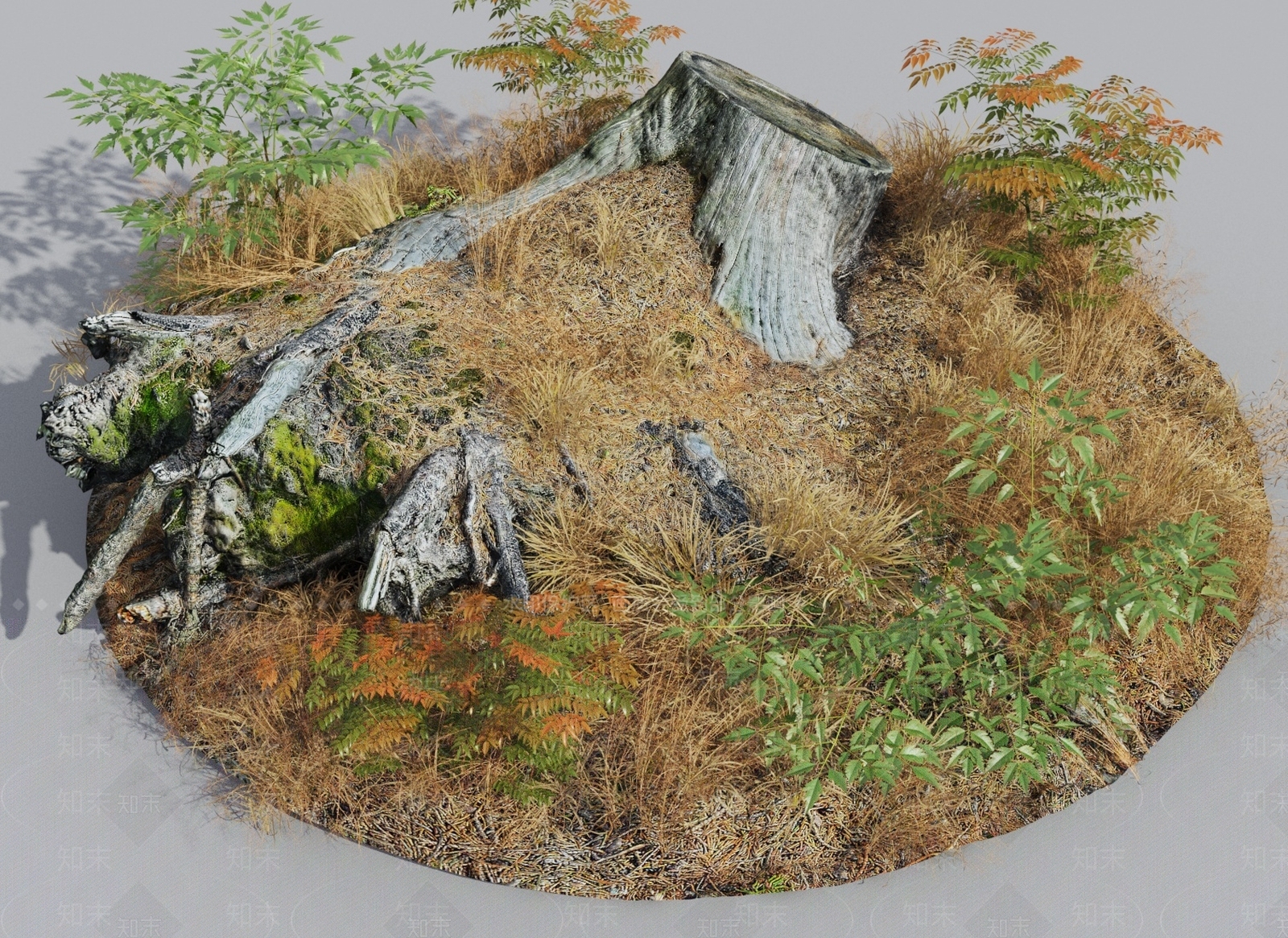 现代野外树干3D模型下载【ID:1145109107】