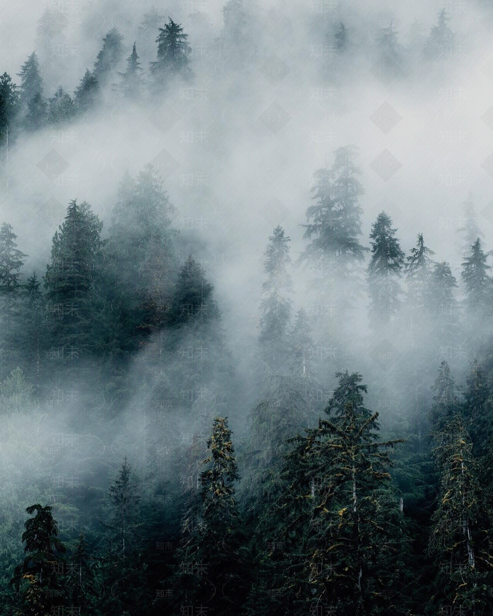 中式外景贴图下载【ID:1145133900】