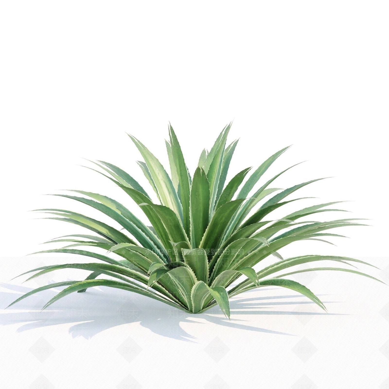 草3D模型下载【ID:1145139344】