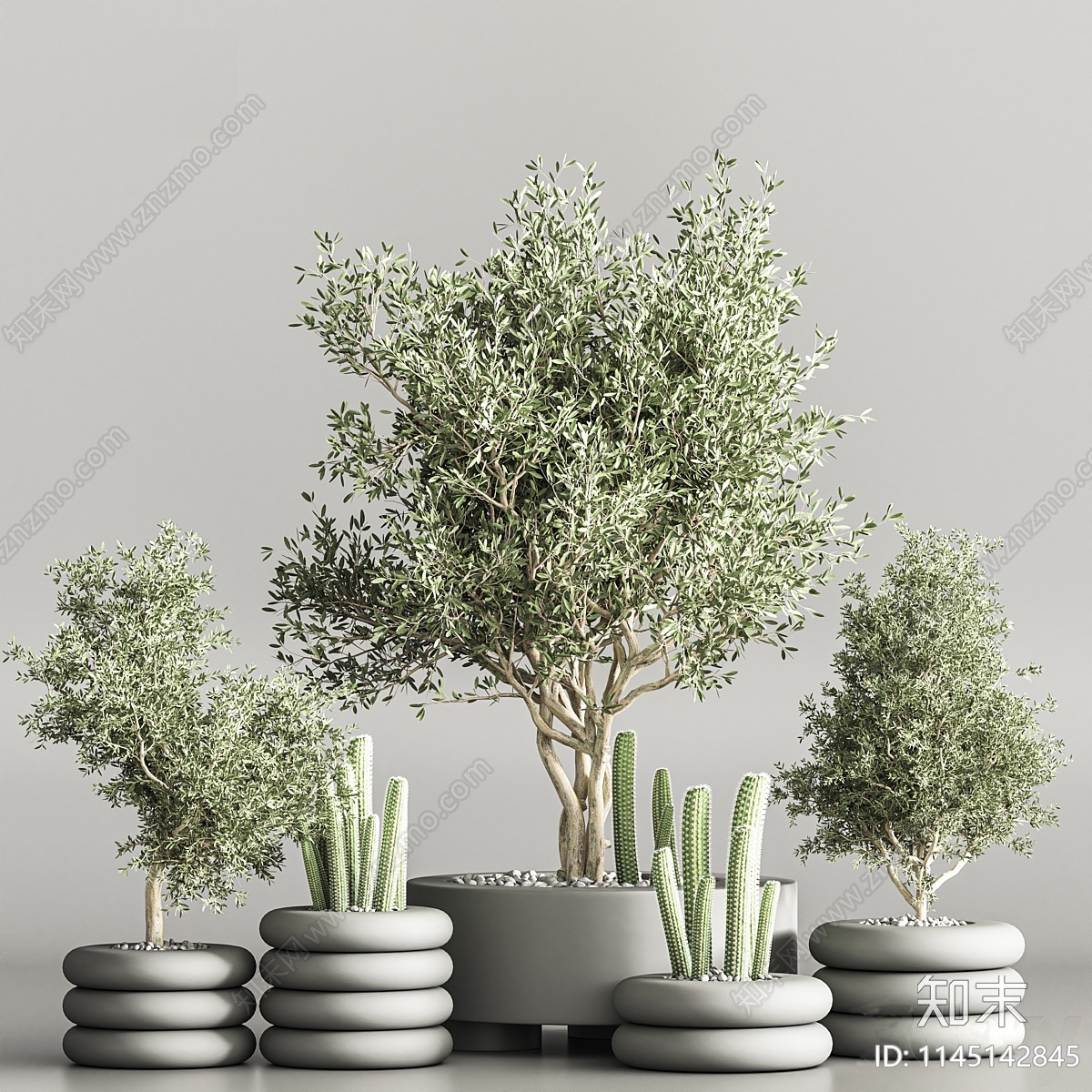 现代室内植物盆栽合集3D模型下载【ID:1145142845】