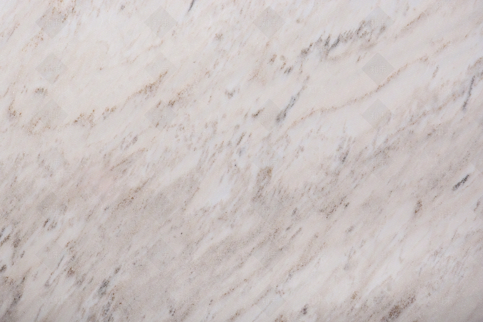 珍珠白贴图下载【ID:1145163797】