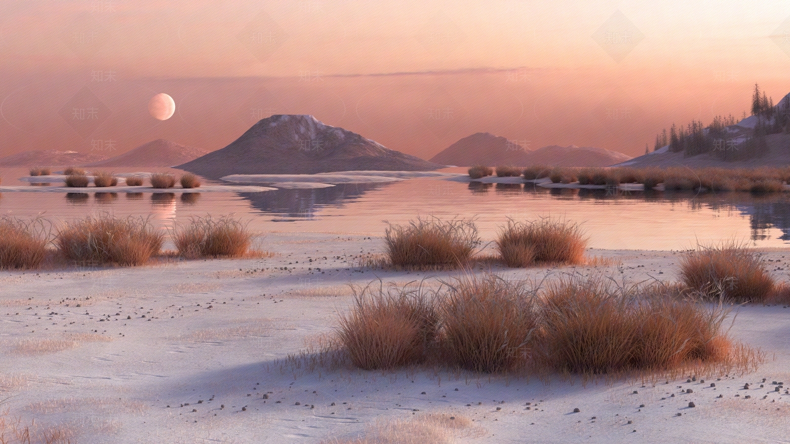 外景风景夜景贴图贴图下载【ID:1145178498】