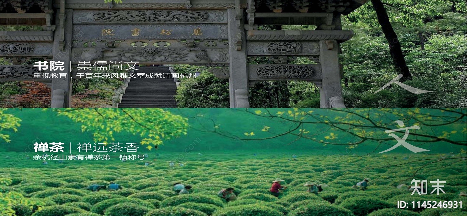 杭州径山竹茶园景观规划方案文本下载【ID:1145246931】_【知末方案文本库】