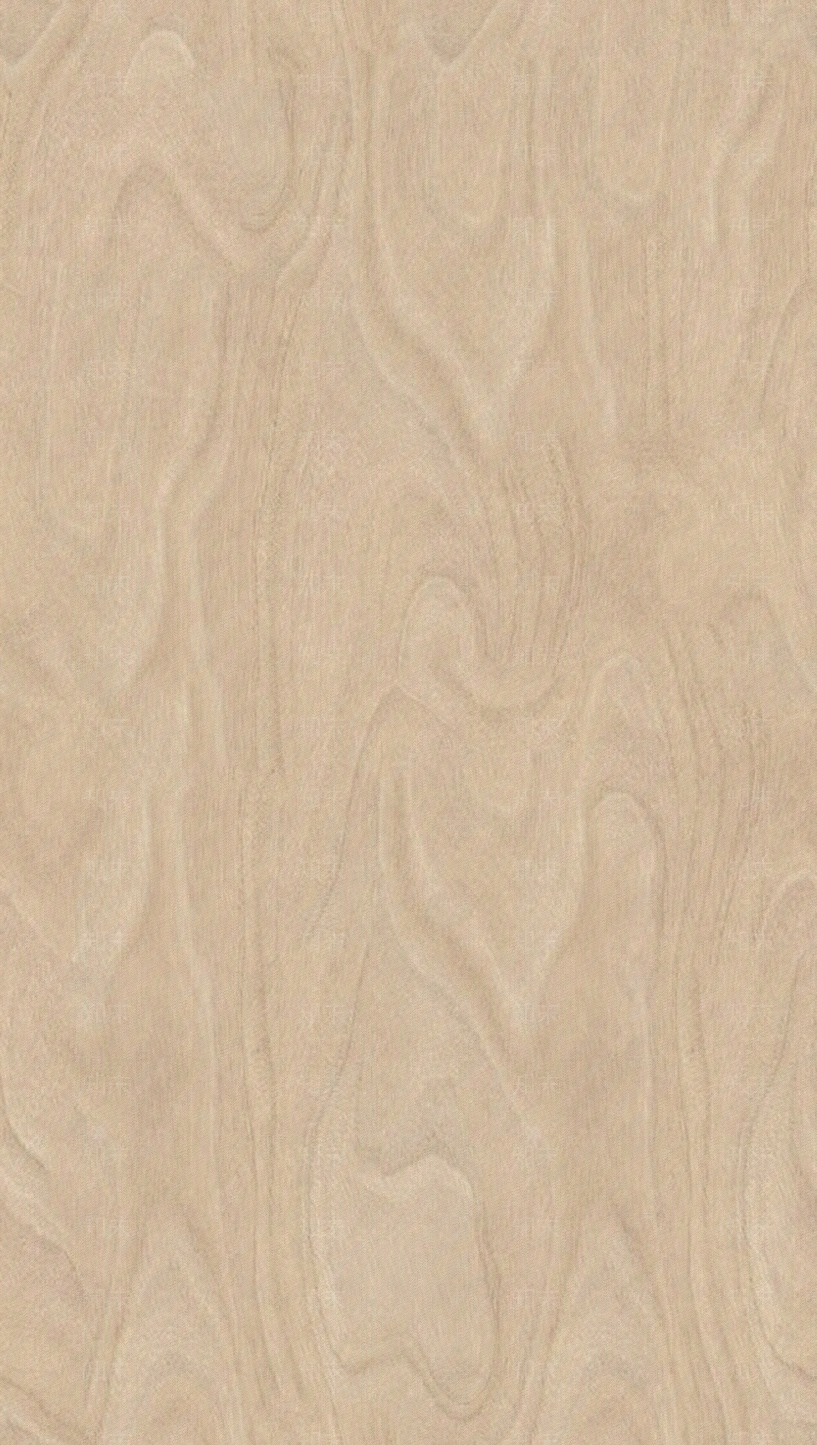 无缝桦木木纹贴图下载【ID:1145312759】