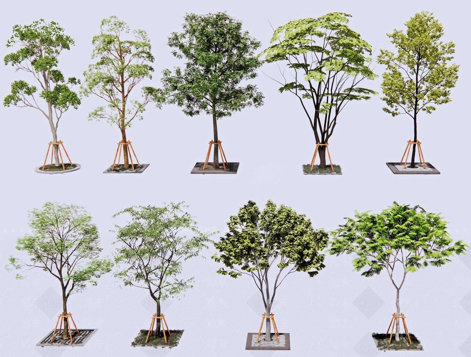 乔木3D模型下载【ID:1145329169】
