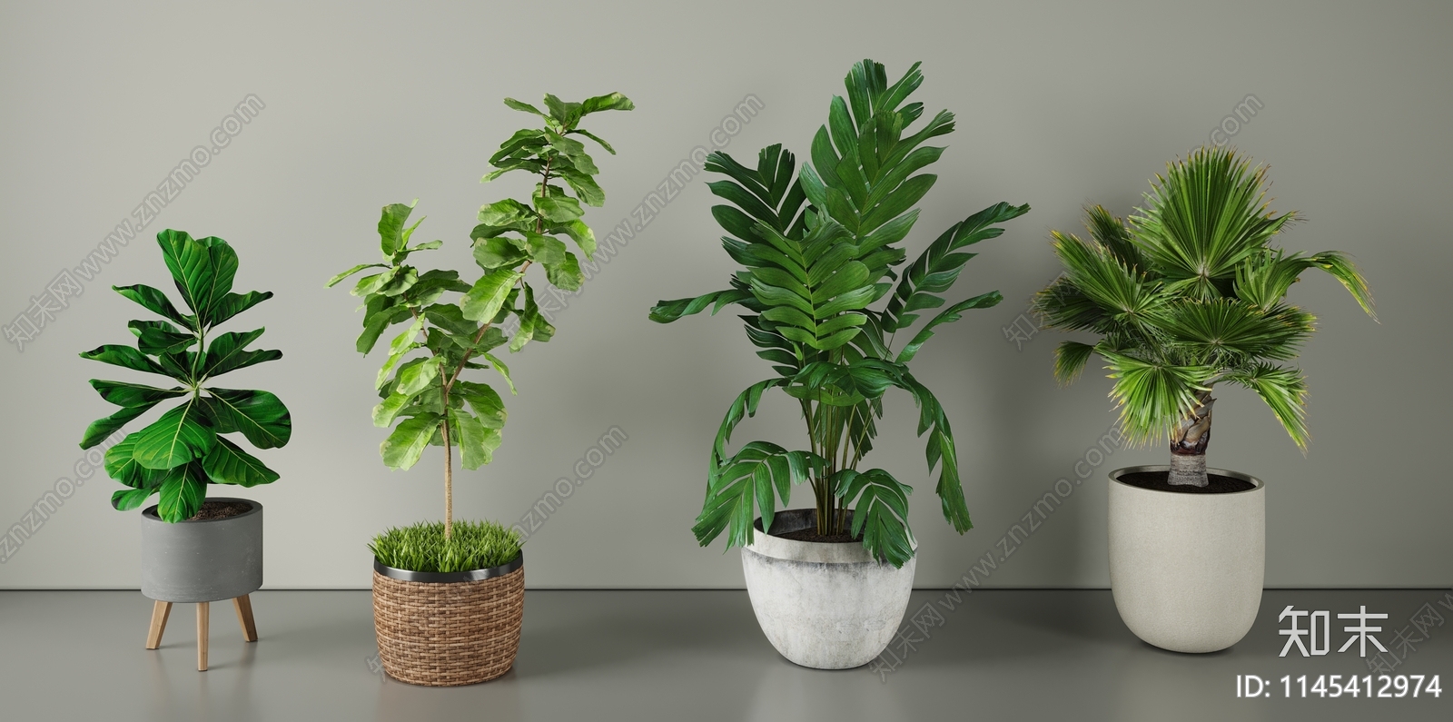 盆栽植物3D模型下载【ID:1145412974】