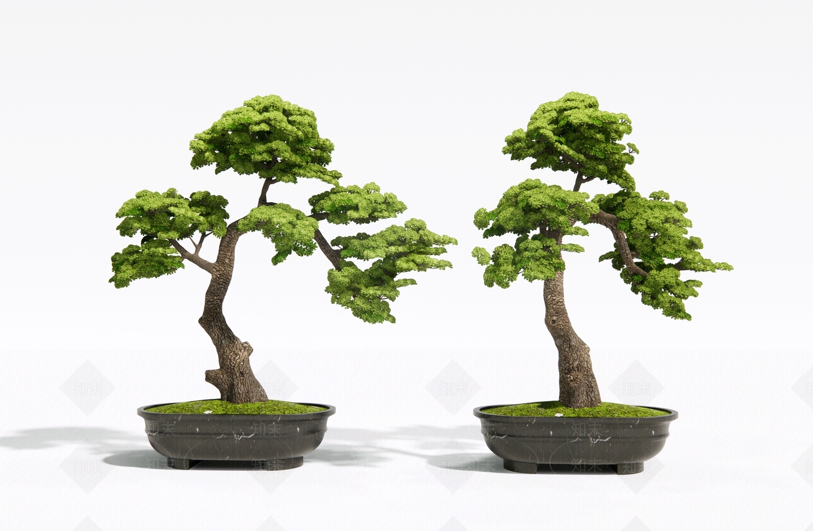 罗汉松盆景3D模型下载【ID:1145336806】