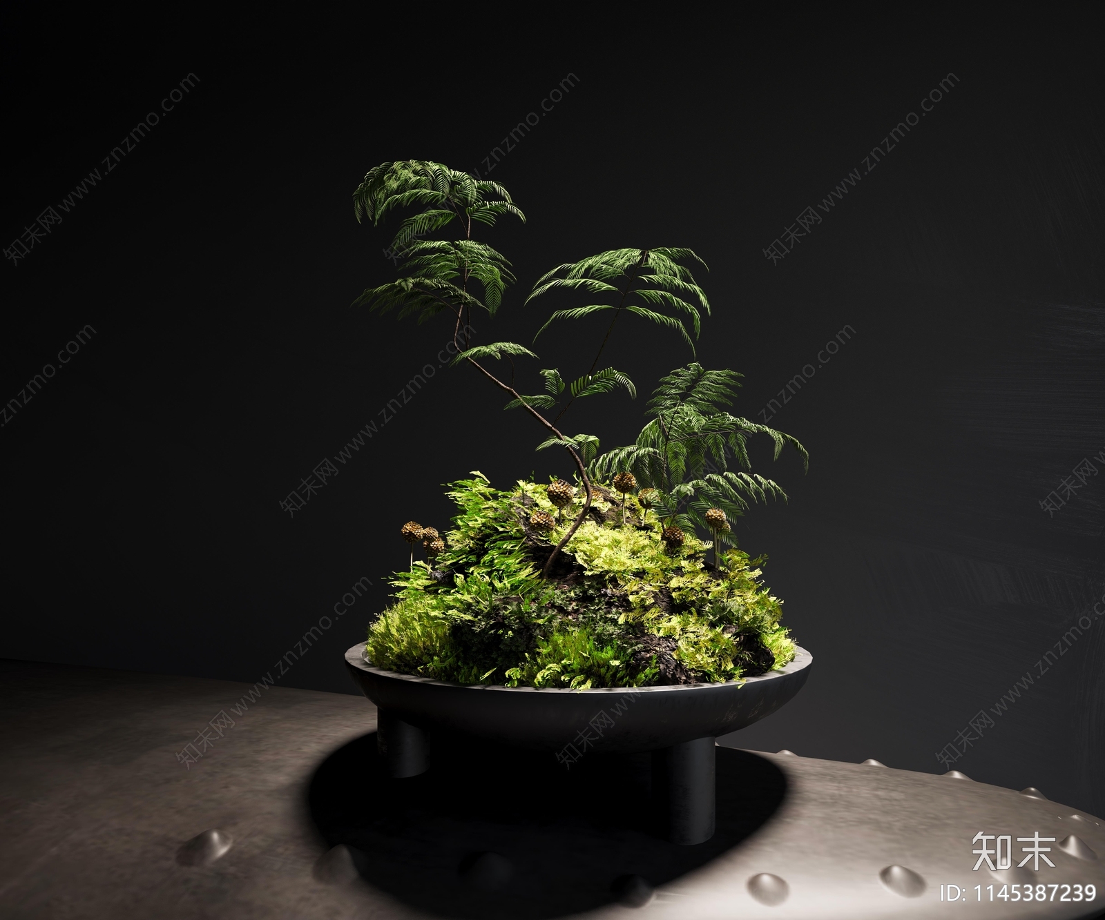 现代苔藓植物盆景3D模型下载【ID:1145387239】