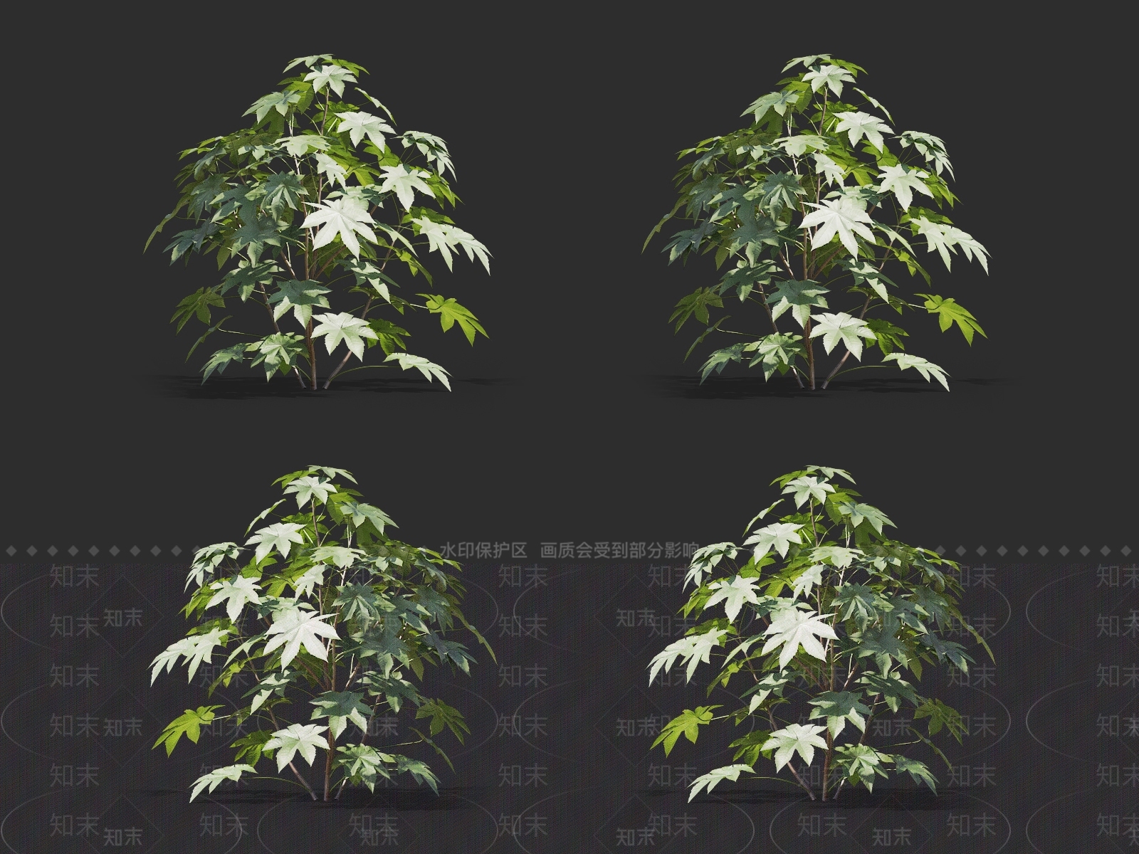 蓖麻3D模型下载【ID:1145476551】