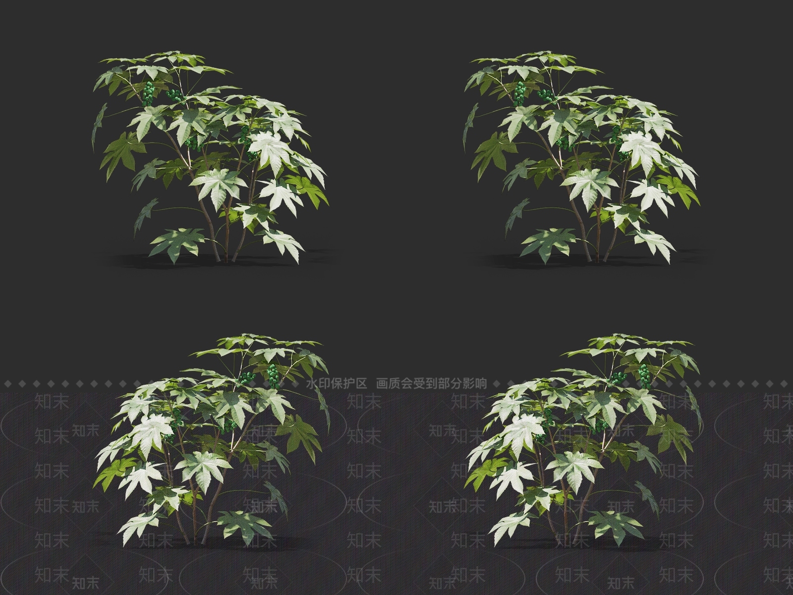 蓖麻3D模型下载【ID:1145476510】