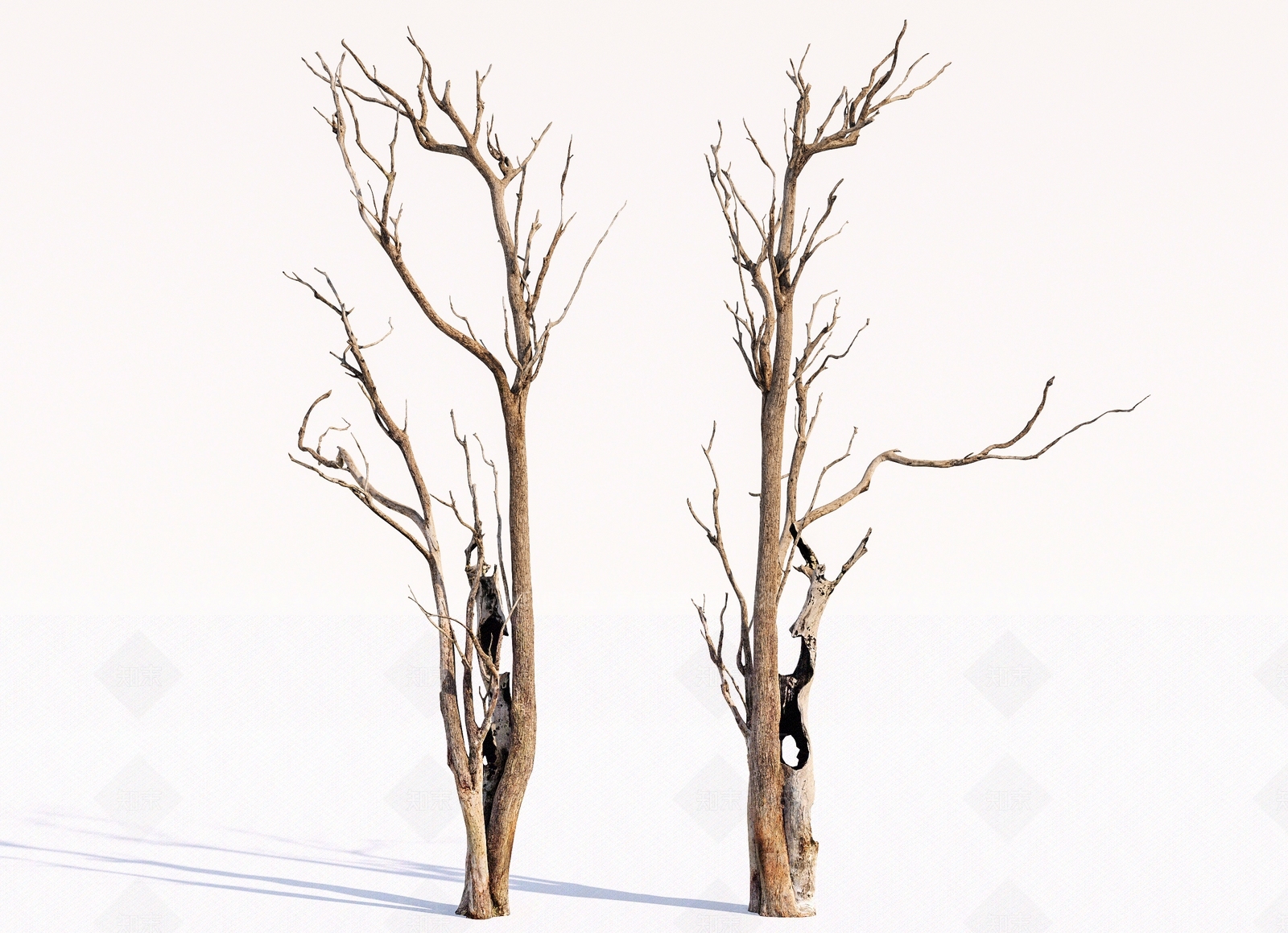 枯木3D模型下载【ID:1145477640】