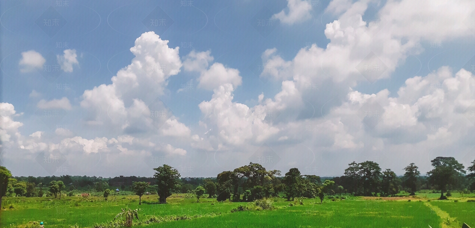 天空草地背景图贴图下载【ID:1145527764】